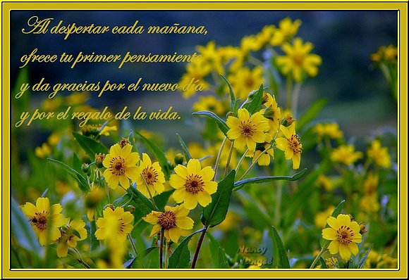 ***Feliz Semana mis corazones Amig@s***