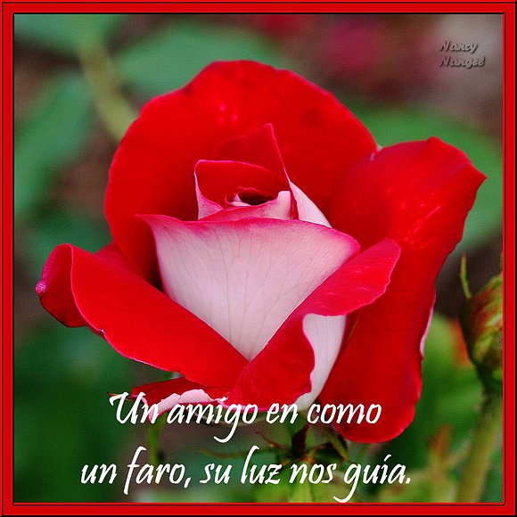 ***Feliz Semana mis Corazones Amig@s***