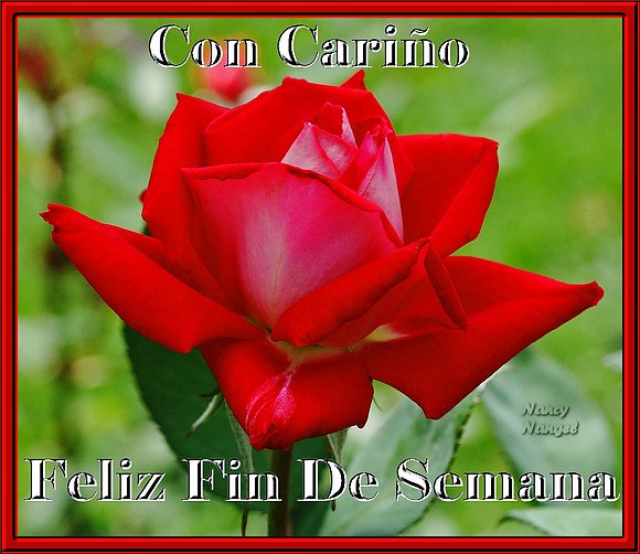 ***Feliz Fin de Semana mis corazones Amig@s***