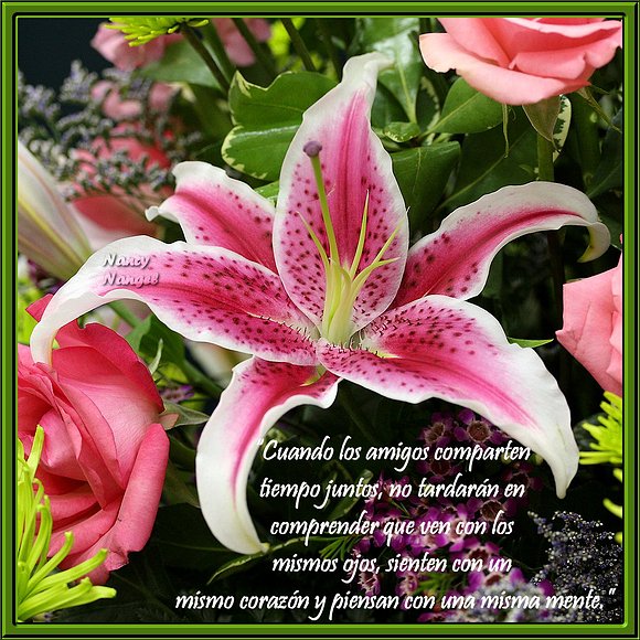 ***Feliz Semana mis Corazones Amig@s***