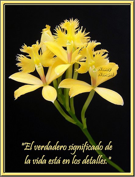 ***Feliz Fin de Semana mis Corazones Amig@s***