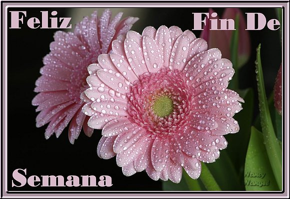 ***Feliz Fin de Semana mis corazones Amig@s***