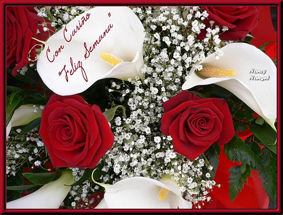 ***Feliz Semana Mis Corazones Amig@s***