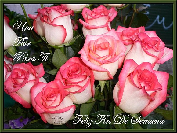 ***Feliz Fin de Semana mis Corazones Amig@s***