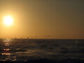 Atardecer en Iquique  (Chile)