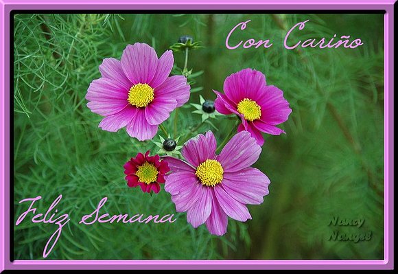 ***Feliz Semana Mis Corazones Amig@s***