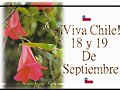 Copihue Flor Nacional de Chile