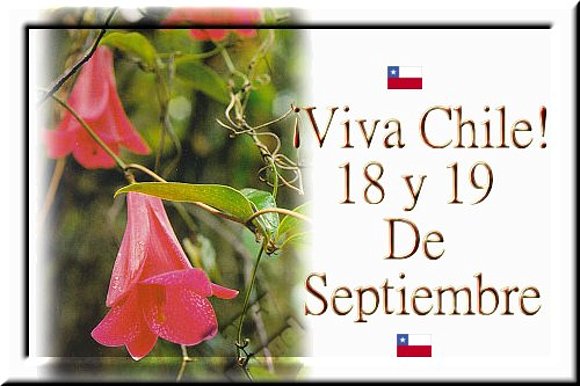 Copihue Flor Nacional de Chile