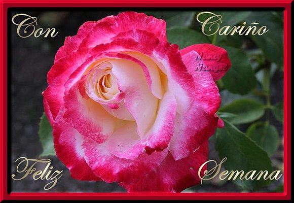 ***Feliz Semana Mis Corazones Amig@s***
