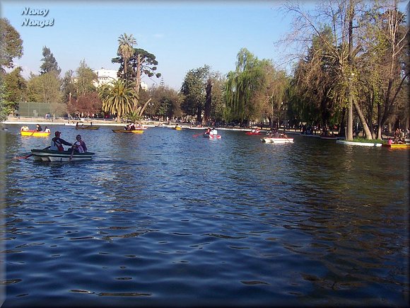 Laguna de la Quinta Normal   (Chile)