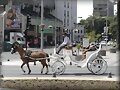 Carruaje Vi&ntilde;a del Mar   (Chile)
