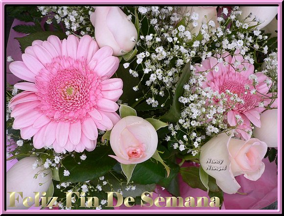 ***Con Cariño Feliz Fin de Semana***