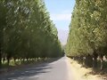 Los Andes (Chile)