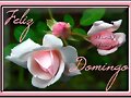 ***Feliz Domingo***