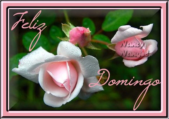 ***Feliz Domingo***