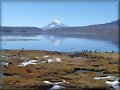 Lago Chungara  (Chile)