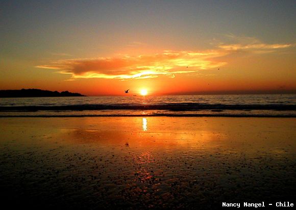 La Serena (Chile)