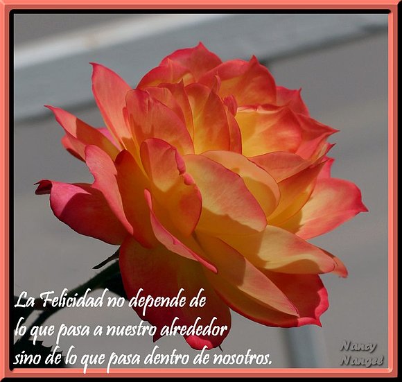 ***Feliz Semana mis corazones amig@s***