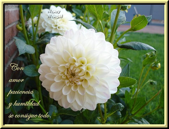 ***Con cariño les deseo una Feliz Semana***
