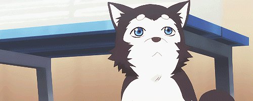 Un perrito muy adorable