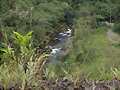 Ecuador- Morona Santiago Valle del Palmar