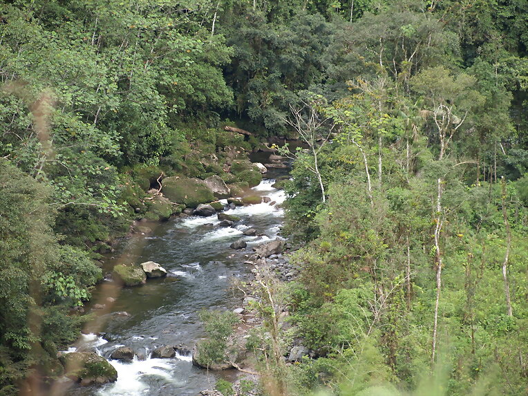 Valle del Palmar