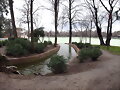 x madrid