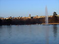 x madrid