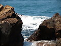 Cala Cortina
