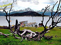 Ensenada, Isla Redonda, Ushuaia, Tierra del Fuego