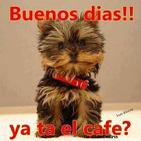 Buenos días a todos
