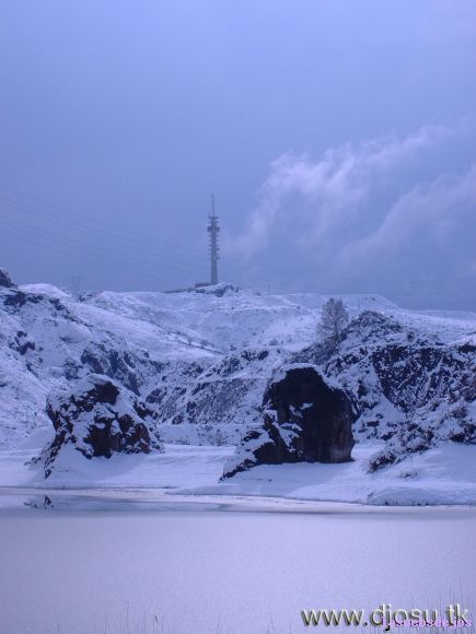Piruli
