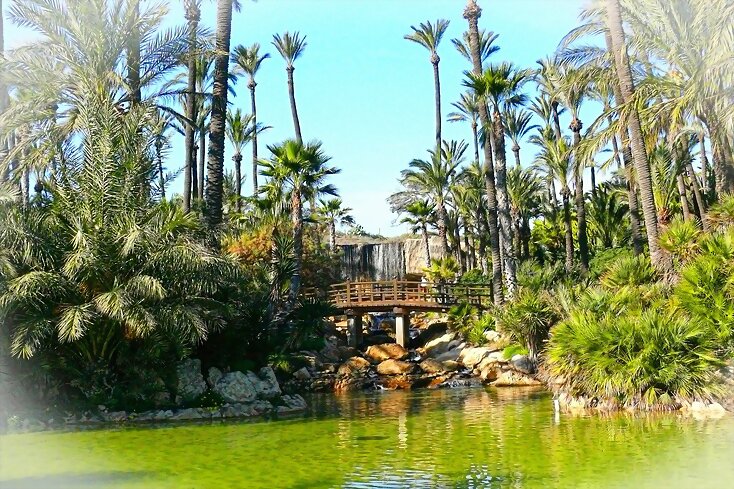 El Palmeral
