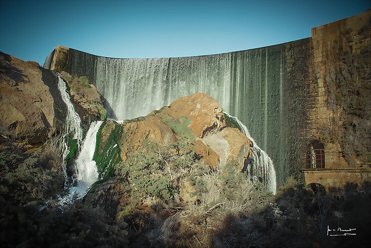 PANTANO DE ELCHE