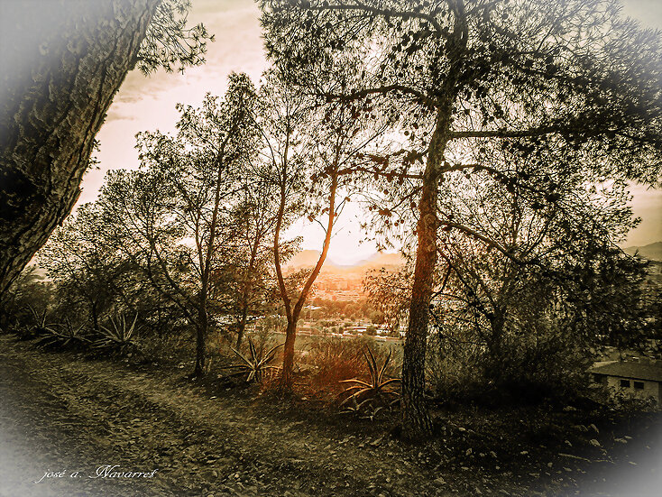 Atardecer