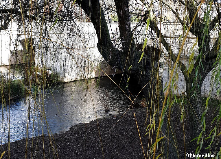 LAS FRÍAS AGUAS DEL RÍO