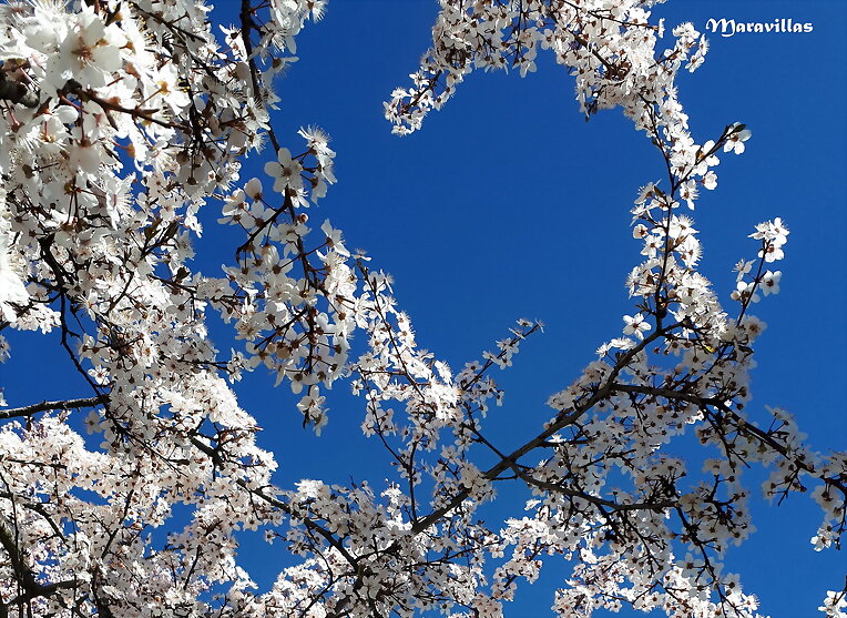 NIEVE EN PRIMAVERA