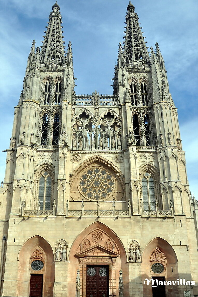 CADERA, CATEDRÁTICO  Y CATEDRAL