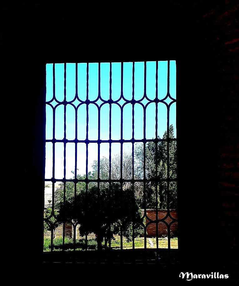 VENTANA AL EXTERIOR