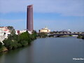SKYLINE O PAISAJES URBANOS