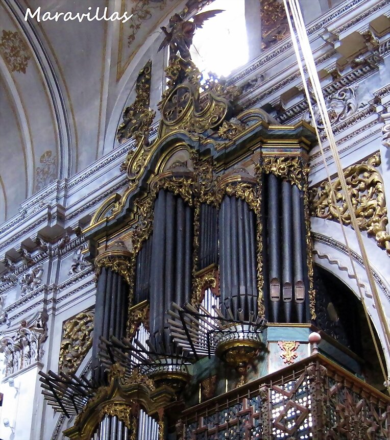 ÓRGANOS Y ORGANISTAS