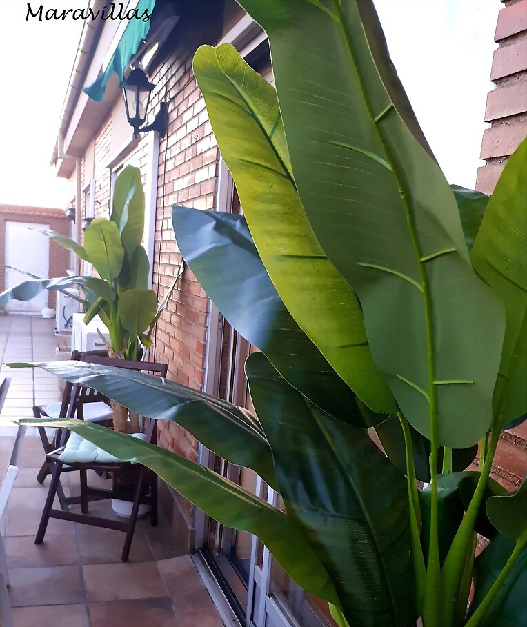 VISILLEANDO