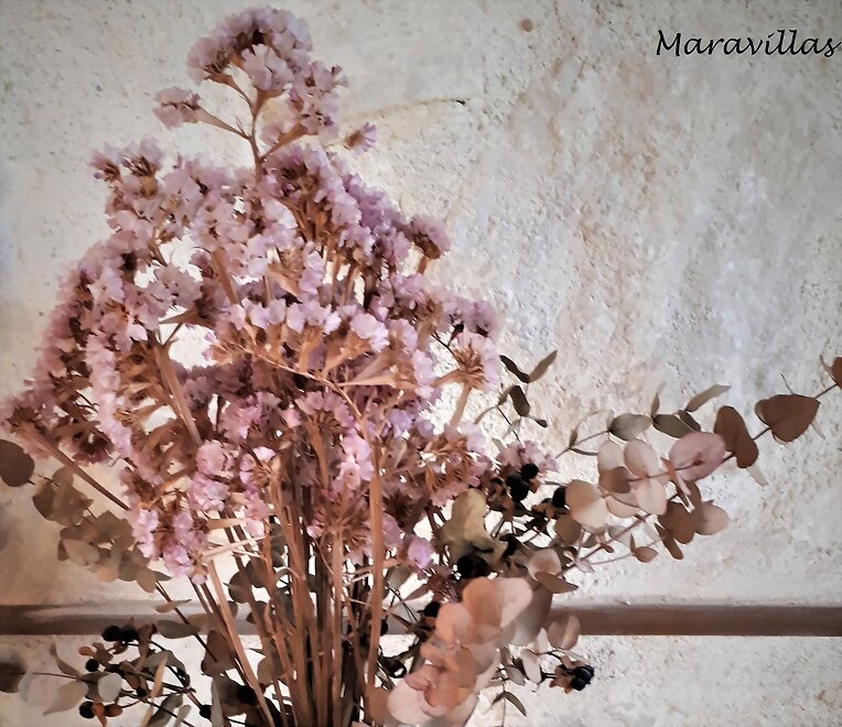 FLORES SECAS PERO VIVAS