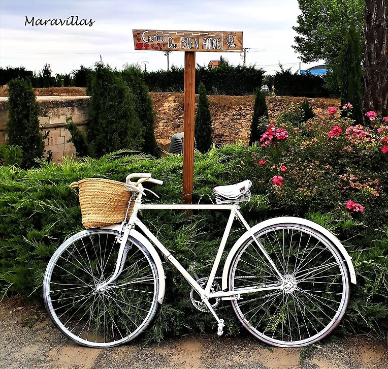 BICICLETA EN REPOSO