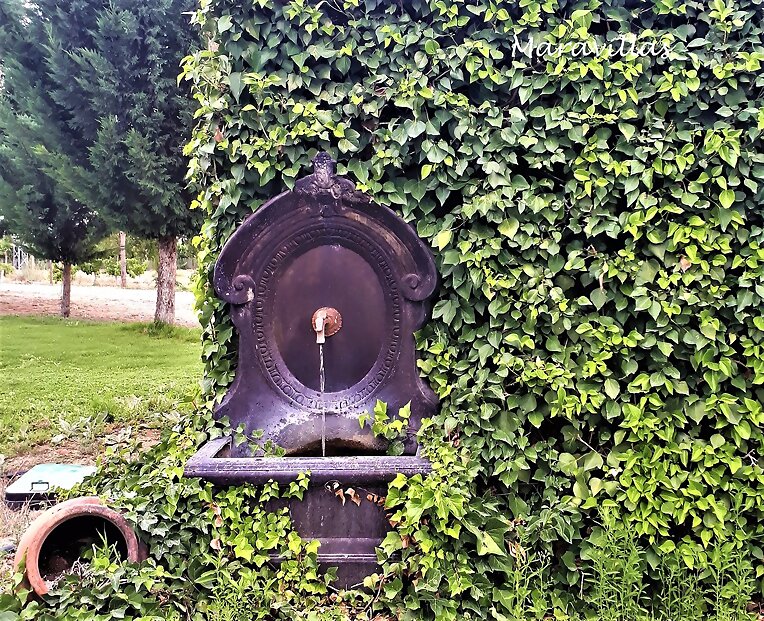 LAS FUENTES HABLAN