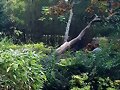 SEPTIEMBRE, MES DE ACCI&Oacute;N