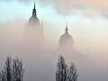 NIEBLA COMO PAISAJE