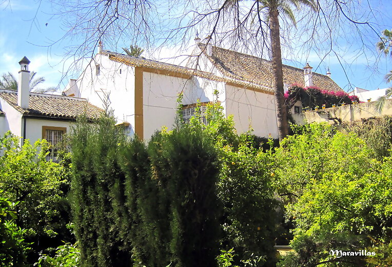 PICADURAS DE MOSQUITOS