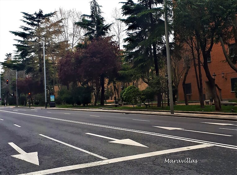 UNA CALLE