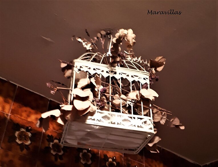 AVES ENJAULADAS